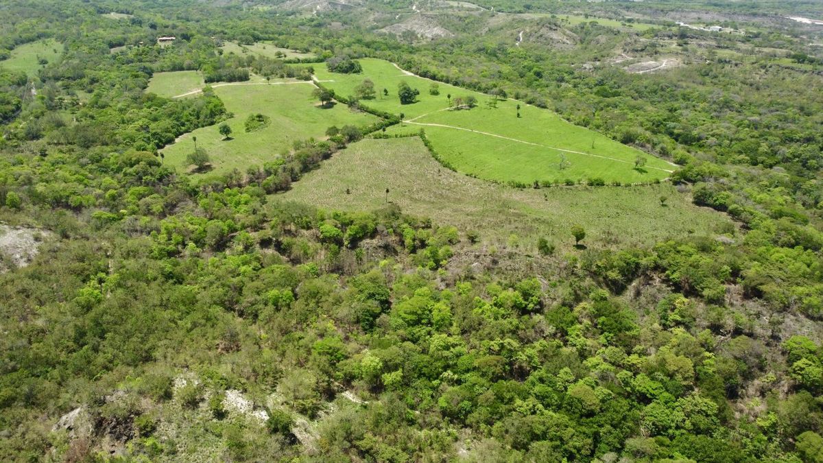 Finca — Bagaces, Guanacaste